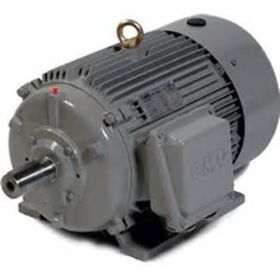 VAC PUMP MOTOR 30HP 240V