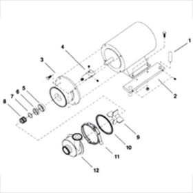 TEFLON SHAFT SEAL FOR SP41/51/61